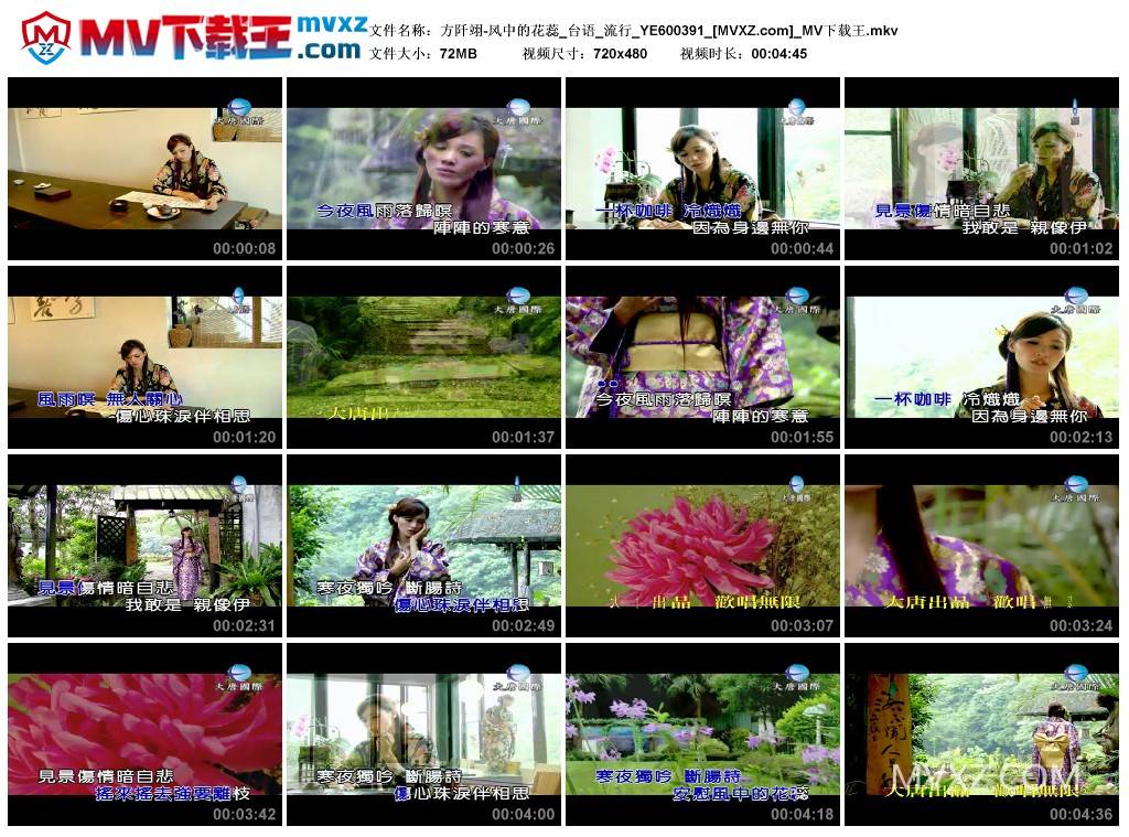 方阡翊-风中的花蕊_台语_流行_YE600391
